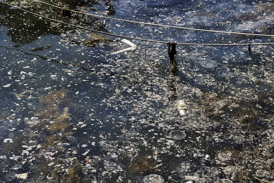 İstanbul'un o sahilinde yürüyüş yapanlar gözlerine inanamadı! Bitti denmişti, meğer yeniden başlıyormuş 4